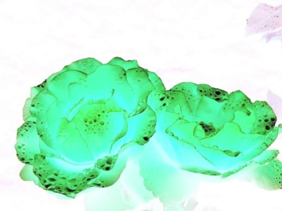 Scisquo medley part one