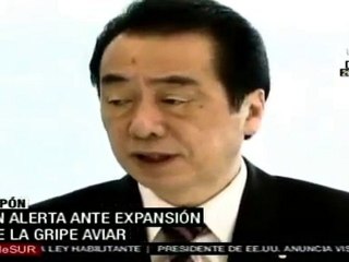 Alerta en Japón ante expansión de gripe aviar