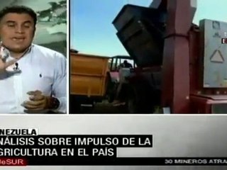 Desarrollo de agricultura urbana, un eje de la Misión Agrovenezuela