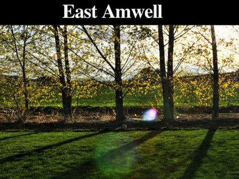 Emergency Tree Removal Service | Ewing-Trenton-Lambertville