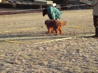 nanook  cavage la rosiere