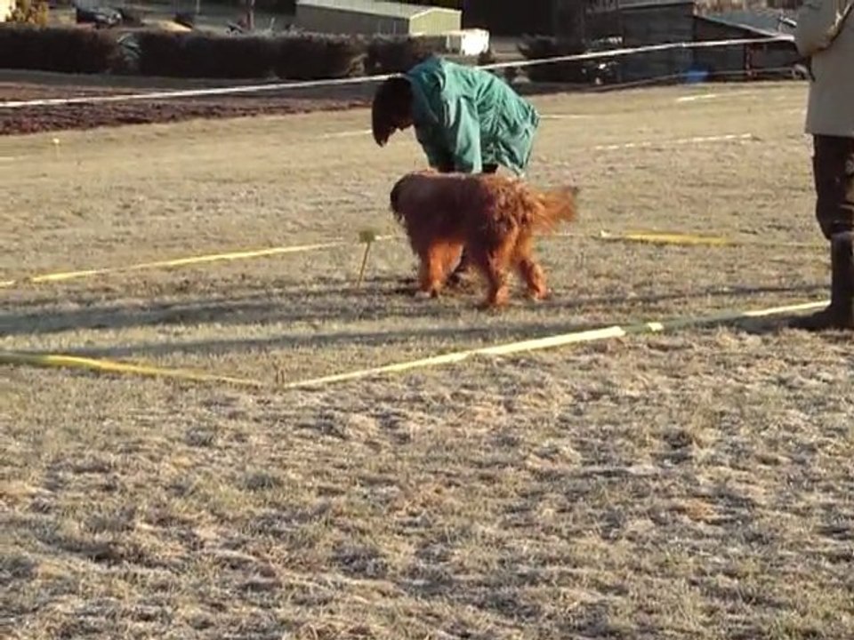 nanook  cavage la rosiere