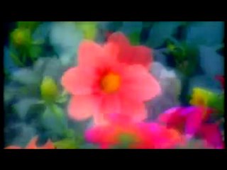 EBUBEKİR - NURLU KERVAN