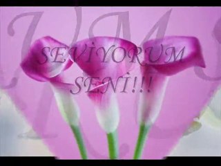 Seviyorum Seni!