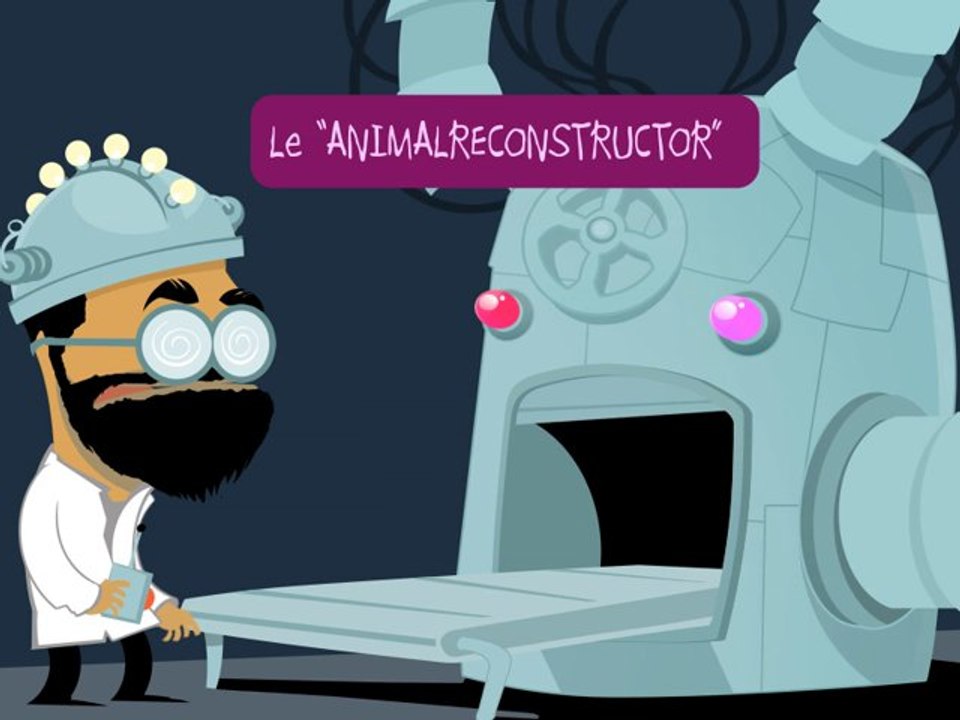 ANIMALreconstructor
