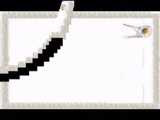 Hz. Ali (r.a) Nasihatleri  -  Namaz ve Biz