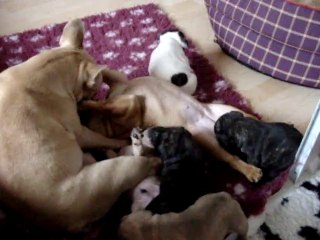 Fiona, A PEINE gênante, mais vraiment à peine!....