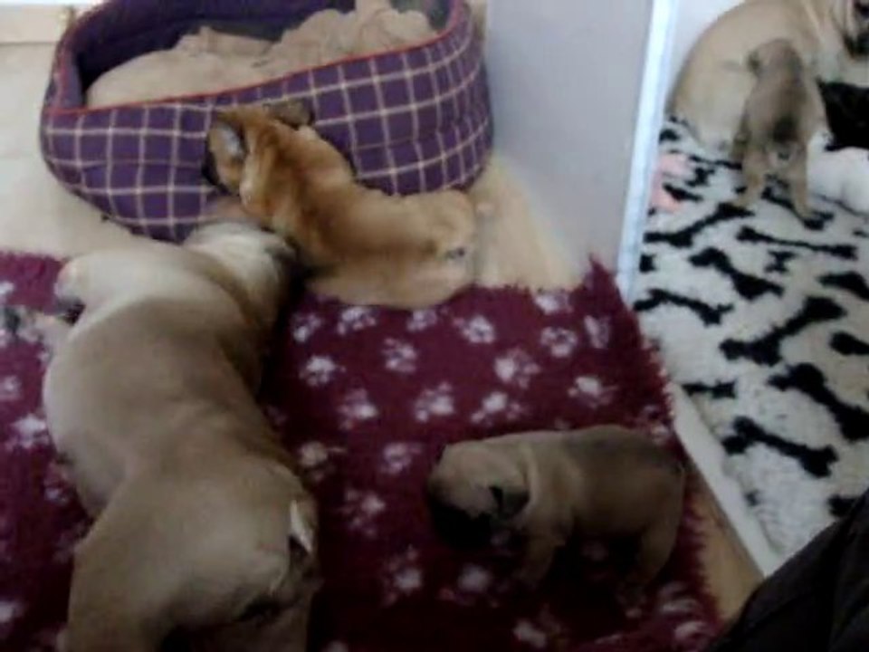 La maternité: "The place to be"!