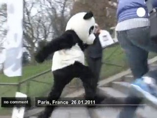 Deux pandas au pied du Sacré Coeur - no comment