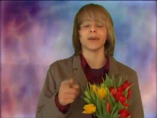''Tulpen aus Amsterdam''-Cover von Marco Konegger
