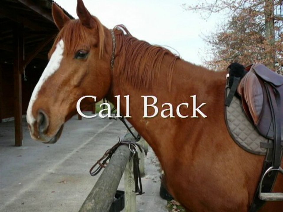 Apache Call Back & Estelle