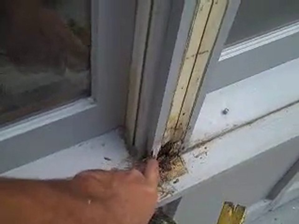 Wood Rot repair in Shawnee