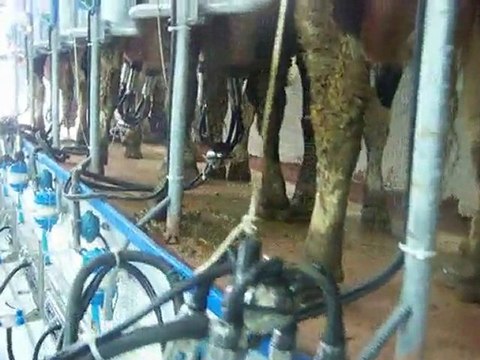 Alaattin Köyü Tarımsal Kalkınma Kooperatifi Merkez Sağım Sis