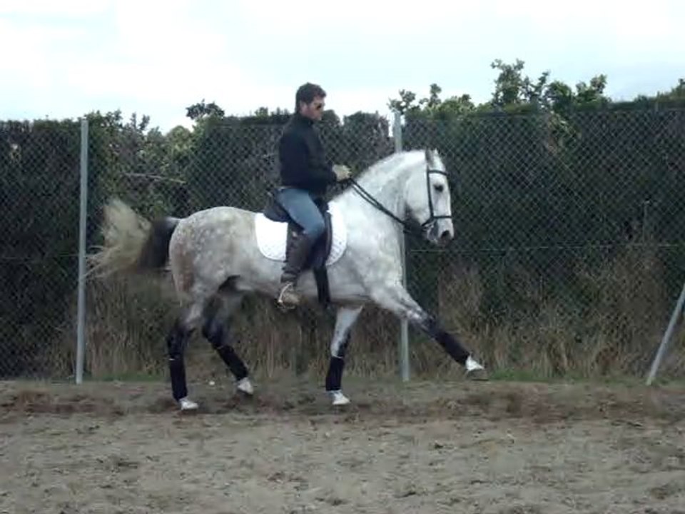 MOV02475