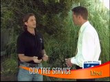 Tree Service Charleston SC- How to select a tree to plant.