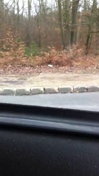 Les Auto Stopeuse De Fontainbleau Mdrrrrrr