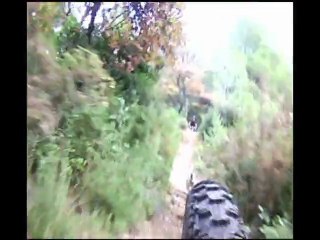 descente vtt seb et kimi le chien fou