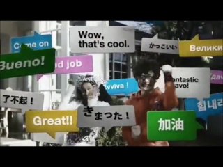 Vidéo News de la NGP(PSP2)