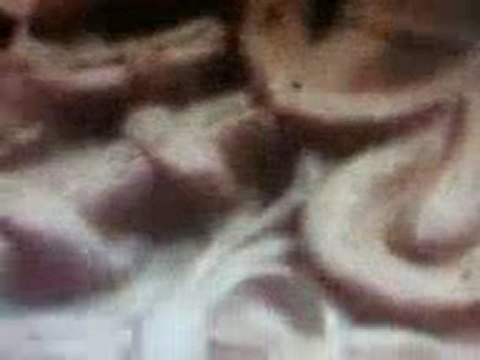 kairouan tunisie mosquée okba ibn nafaa (5)