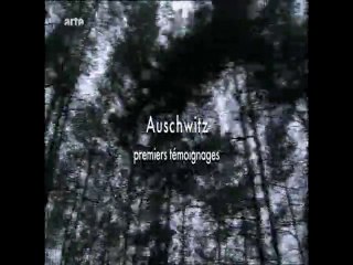 Auschwitz, premiers témoignages (1)