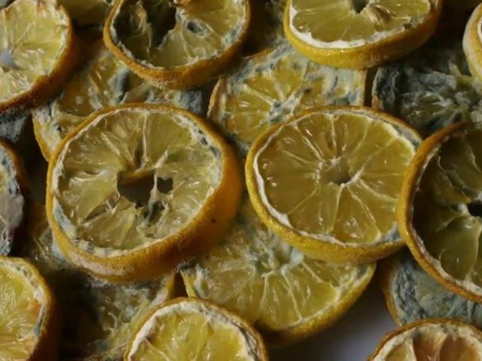 LEMON AID - A rather fruity time lapse