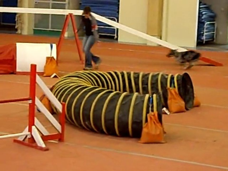 nat agility2