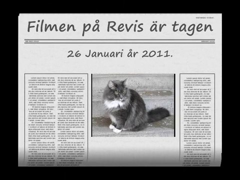 Film på Revis 26 Jan - 11. Med musik.