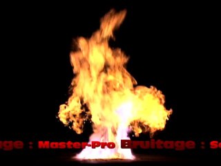 Terminator-LEGO générique