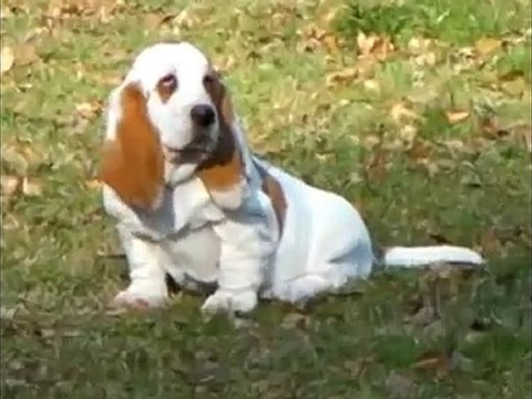 Fais pas ci-Fais pas ça en balade en famille