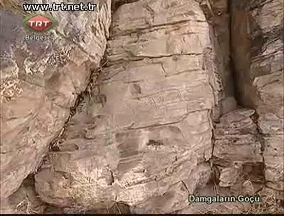 Damgaların Göçü belgeseli (1/2)