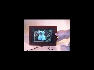 Electronic Picture Frame Review