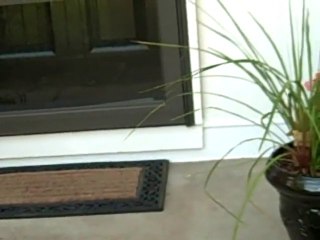 Leawood wood rot repair