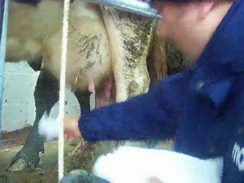 Alaattin Tarıms Kalkınma Kooperatifi Otomatik Sağım Ünitesi4