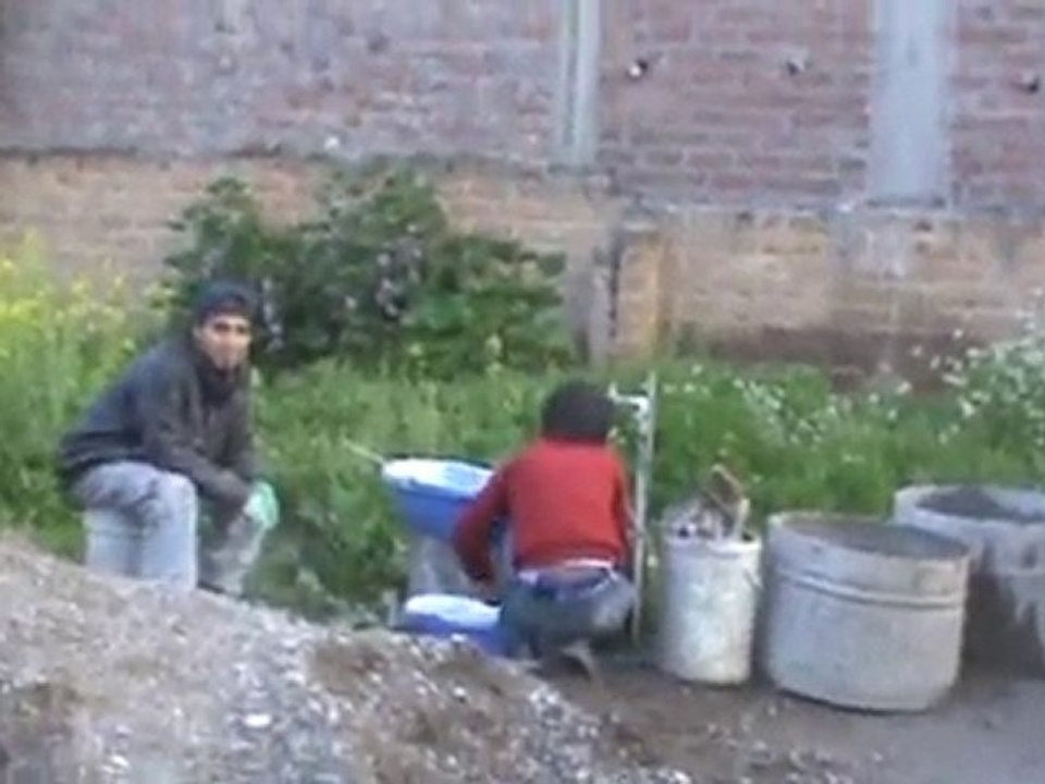 20110124053005