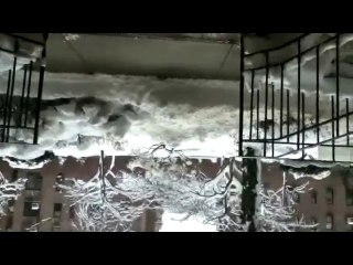 Snow At 19" In New York Area From Another Angle