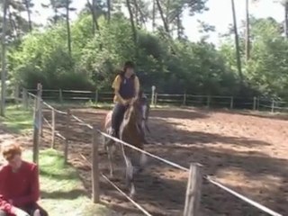 Youtubes Best Horse Canter(youtubers can Vote)