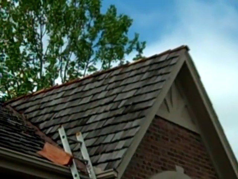 Overland Park Wood Rot Repair & Painting