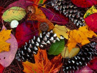 cem adrian yağmur (cover)