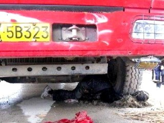 Investigation on Suspicious Death of Chinese Village Chief