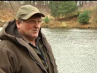 Fears over government forest plans