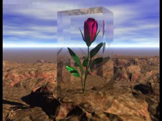 HALA SENİ SEVİYORUM