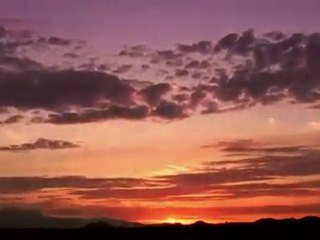 May the (Liquid) Force be with you - 1.1