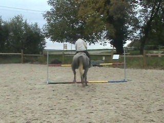 Qidditch et Morgane, séance de saut