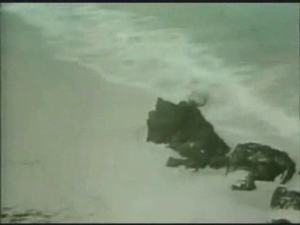 Alan Watts -- Being Present