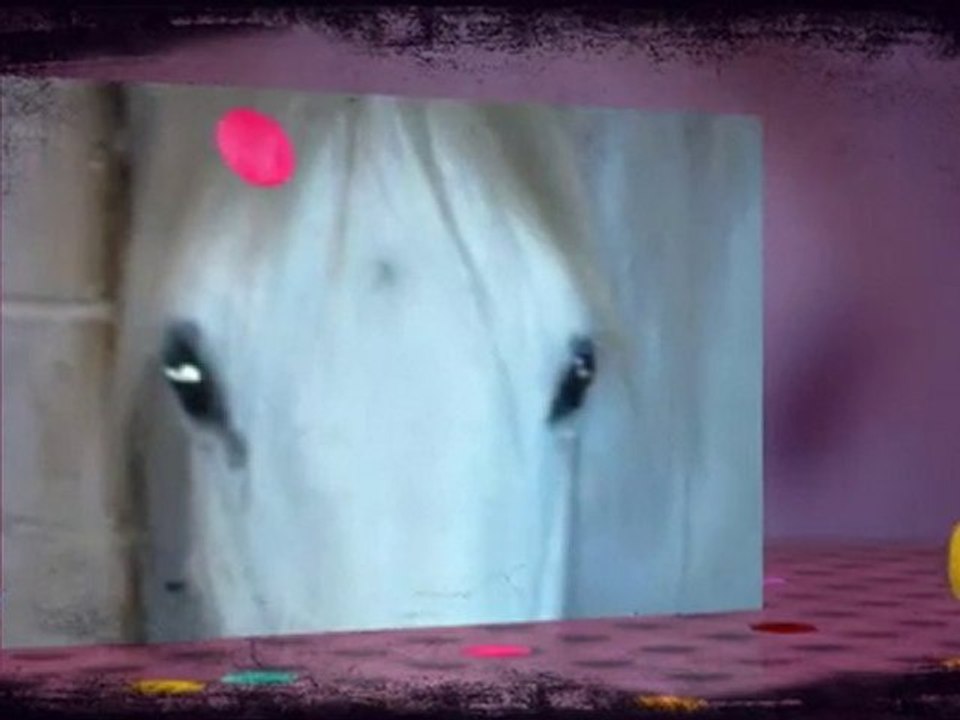 Souvenirs souvenirs .... Poney Club de la Fache de Bray