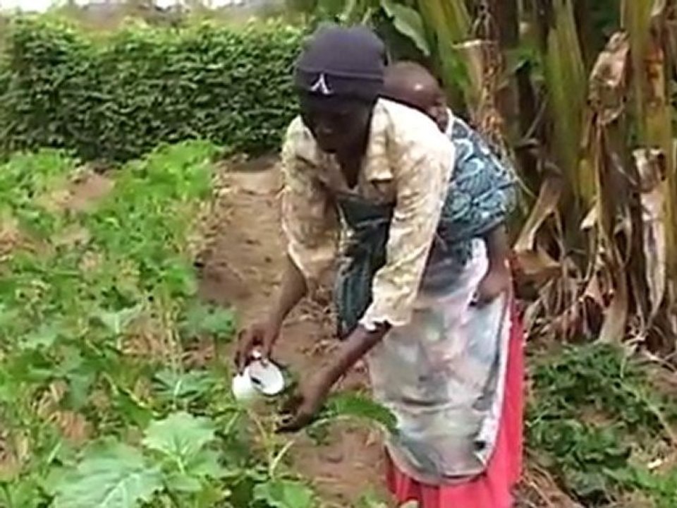 ACF CCF -  Zimbabwe, pays fragile