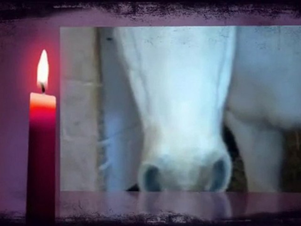 Souvenirs souvenirs .... Poney Club de la Fache de Bray