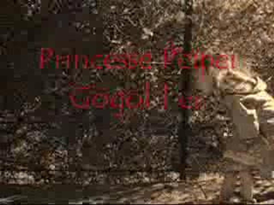 Princess Peipei