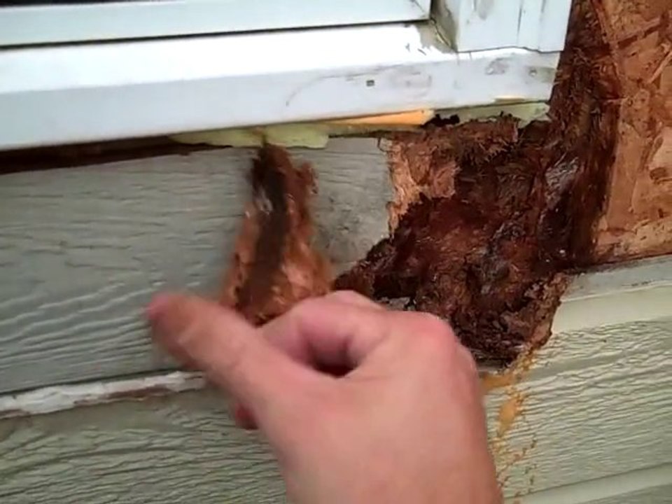 Wood rot & Siding repair in Olathe