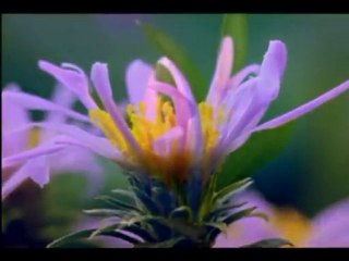 Yusuf Bin Esbat (r.a)-Ölüme hazırlanın